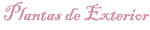 Plantas de Exterior