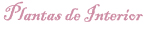 Plantas de Interior