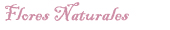 Flores Naturales